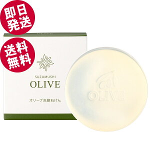 y|Cg5{Iz 钎 I[u΂ 100g iI[u\[vj ykCEꌧz  V} I[uIC F  g΂ ĝ