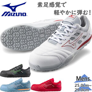 3E L Ch ~Ym Y fB[X I[}CeBTDII11L R SC [NV[Y  ^A ˍ ϖ ϊ R [Jbg zCg  ubN  O[ bh  DF 