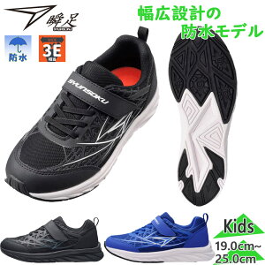 3E L Ch u WjA LbY JJ-892 j̎q ̎q C V[Y h ʊw   }WbNe[v  syunsoku SJJ8920