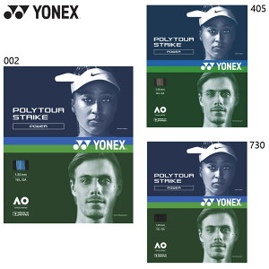 lbNX Y fB[X |cA[ XgCN 125 ejX ANZT[ Z Kbg dejX Pbgp d ubN  O[ u[  DF YONEX PTGST125