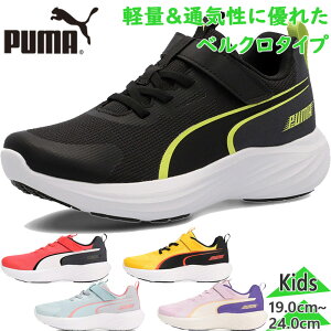 v[} WjA LbY Xs[h X^[ Z j̎q ̎q C V[Y }WbNe[v xN jO ʊw ^ ubN  O[ u[ bh   CG[ DF F 