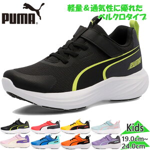 v[} WjA LbY Xs[h X^[ Z j̎q ̎q C V[Y }WbNe[v xN jO ʊw ^  PUMA 309935
