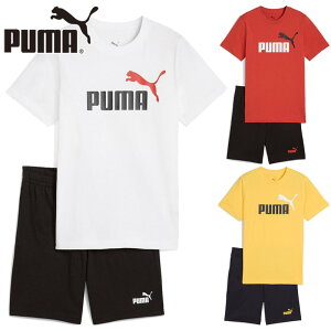 ㉺Zbg v[} WjA LbY {[CY {[CY ESS 2 J[ NO. 1 S  TVc Ah V[c Zbg 120-160cm Ap Y{ t  zCg  bh  CG[ F 