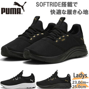 v[} fB[X SOFTRIDE AA EBY Xj[J[ C V[Y jOV[Y ubN   PUMA 309823