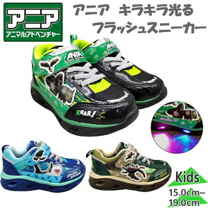 C qLN^[ WjA LbY AjA Aj}Ahx`[ j̎q LN^[ C V[Y }WbNe[v  ubN  u[  O[   51007 51008 51009