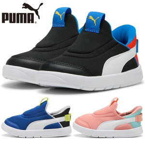 v[} xr[ LbY xr[ R[gtbNX V3 C[YC Xj[J[ 12-16cm j̎q ̎q C V[Y Xb| ubN   PUMA 399735
