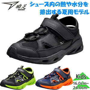 u WjA LbY JC-178 j̎q C V[Y Xj[J[ T_ ėp ʋC y ubN  lCr[ O[   syunsoku SJC1780