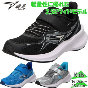 u WjA LbY JJ-212 j̎q C V[Y Xj[J[ }WbNe[v xN ^ ʊw ubN  u[  Vo[  syunsoku SJJ2120