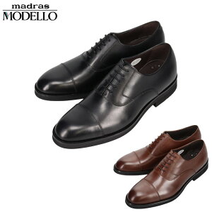 3E ���L ���C�h ���f�� �����Y ���f�� MODELLO �X�g���[�g�`�b�v�E�h���X�V���[�Y �r�W�l�X �C �V���[�Y ������ �������� �}�b�P�C���@ �y�ʃ\�[�� �u���b�N �� �u���E�� ���F �������� MODELLO DM8