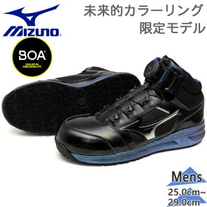 3E L Ch ~Ym Y I[}CeB LSII 73M BOA SC C V[Y Xj[J[   [NV[Y ϖ ϊ {A  ubN   Mizuno F1GA2512