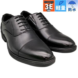 3E L Ch tXR}[ Y rWlX C V[Y y h Xgb` VɂȂɂ ʋ H Xg[g`bv ubN   FRESCOMARE 2221