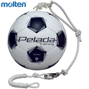 5 e Y fB[X y[_ g[jO ebT[ TbJ[{[ ANZT[ Z zCg   molten F5K9300