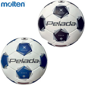 5 e Y y[_5000 yp TbJ[{[ ANZT[ Z wȏjq یF 苅 ubN  u[   molten F5K5001 F5K5001-WB