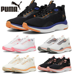 v[} fB[X I EBY Xj[J[ C V[Y [Jbg RC zCg  ubN  O[ sN DF  PUMA 397673