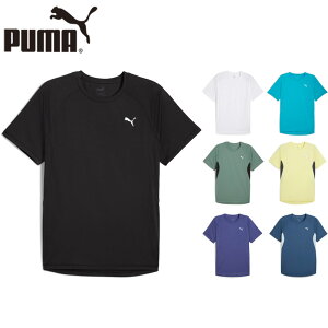 v[} Y RUN VELOCITY TVc Ap jO gbvX  z ^ X|[c zCg  ubN  u[  O[ S[h  PUMA 527238