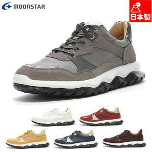 [X^[ Y fB[X SX 78C02 Xj[J[ C V[Y U[ {v ȕz { JWA RtH[g ׃XebN\[ Ռz zCg  O[ lCr[ bh  CG