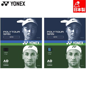 lbNX Y fB[X |cA[Xs120 ejX ANZT[ Z XgOX Kbg dejX ubN  u[  YONEX PTGS120