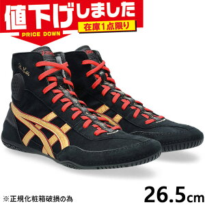 ݌1_ 26.5cm AVbNX Y DAN GABLE EVO 3 _QCu yKĵ߁zC V[Y XO g[jO ubN   asics 1081A052