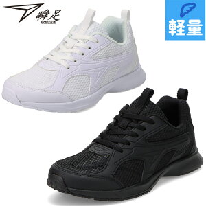 u WjA LbY JJ-196 j̎q ̎q C V[Y XN[ ʊw V[[X^Cv RC bV wN ZΉ syunsoku SJJ1960