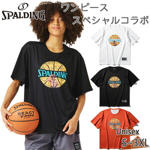 X|fBO X|[c Y fB[X TVc ONE PIECE̎ {[vg oXPbg{[ EFA Z s[X G[X  zCg  ubN  IW 