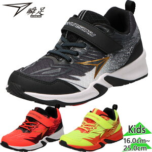 u WjA LbY JJ-208 j̎q ̎q C V[Y Xj[J[ }WbNe[v xN ^ V\N ubN  bh  CG[ F  syunsoku SJJ2080