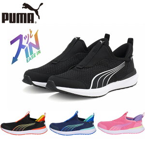 v[} WjA LbY KRUZ PROFOAM EASE IN JR N[Y vtH[ C[YC j̎q ̎q C V[Y Xb| ubN  lCr[  PUMA 397633