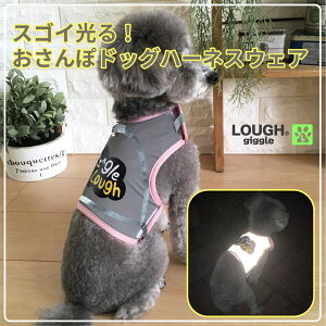 XSTCY tM[O XSC!hbOn[lXEFA ^p ANZT[ Ԃ U tN^[ Sʔ u[  CG[ sN O[ F   LOUGH GIGGL