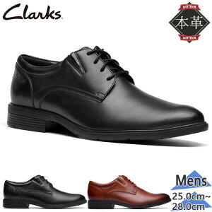 N[NX Y STEADWELL LACE XebhEF [X rWlX C V[Y   v[gD {v U[ ubN   Clarks 26184679 26184680