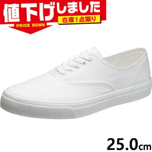 ݌1_ 25.0cm 2E ATqV[Y Y fB[X ATq 503 Xj[J[ C V[Y Vv  jp I[V[Y   zCg  asahi shoes KF37021