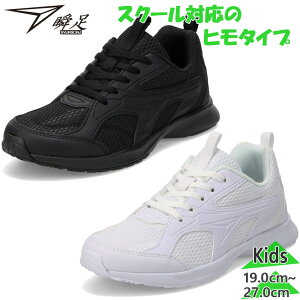 u WjA LbY JJ-196 j̎q ̎q C V[Y 㗚 킮 XN[ ʊw V[[X^Cv RC bV ZΉ zCg  ubN   syunsoku SJJ1960