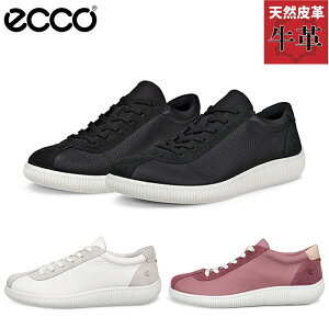 �G�R�[ ���f�B�[�X SOFT ZERO W �X�j�[�J�[ �C �V���[�Y ���[�J�b�g �R�C �{�v ���U�[�X�j�[�J�[ ��l�X�j�[�J�[ �V���v�� �J�W���A�� ���ꂢ�� �z���C�g �� �u���b�N �� �������� ECCO 220253