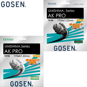 �S�[�Z�� AK PRO 17 �e�j�X ���Z �A�N�Z�T���[ �K�b�g �A�V�X�g���\ �@�\�� �d���e�j�X �C���^�\�� �ϋv�� �P���� �u���b�N �� �x�[�W�� GOSEN TS708