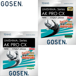 UMISHIMA series �S�[�Z�� �����Y ���f�B�[�X AK PRO CX 17 �e�j�X ���Z �A�N�Z�T���[ tennis �e�j�X�K�b�g 17GA ���� ���K �u���b�N �� �x�[�W�� GOSEN TS761