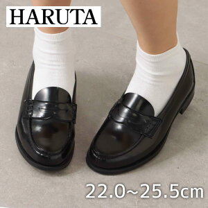 ySiP15{I1500:00`24Hzn^ HARUTA 45140 fB[XC C V[Y 2E RC[t@[ wC ʊw { Y y wZ tH[}  [t@ C\[O 