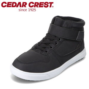 Z_[NXg CEDAR CREST CC-3123 LbYC qC C V[Y 2E Xj[J[ hV[Y nCJbgXj[J[ h ɂ hu[c ʃt@Xi[ ₷ J  lC u