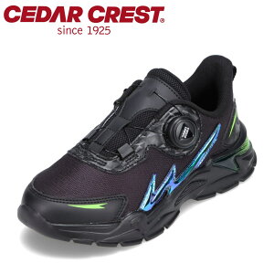 Z_[NXg CEDAR CREST CC-3124 LbYC qC C V[Y 2E Xj[J[ LbYXj[J[ qC ^C _C EȒP X^CbV  ubN