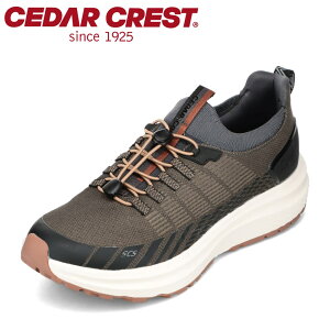 Z_[NXg CEDAR CREST CC-9800 YC C V[Y 2E [JbgXj[J[ [eBeBXj[J[  h tBbg z[h hV[Y jbg J[L