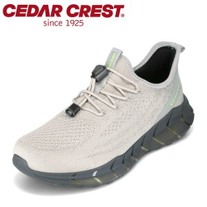 ySiP5{I6`9܂ŁzZ_[NXg CEDAR CREST CC9851 YC C V[Y 2E Xj[J[ h Ȃ h  [JbgXj[J[ Vv O[