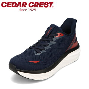 Z_[NXg CEDAR CREST CC-9900M YC C V[Y 3E Xj[J[ L  NbV Xgb` ˍ @\ [JbgXj[J[ X^CbV lCr[×bh