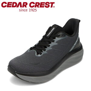 Z_[NXg CEDAR CREST CC-9900M YC C V[Y 3E Xj[J[ L  NbV Xgb` ˍ @\ [JbgXj[J[ X^CbV `R[