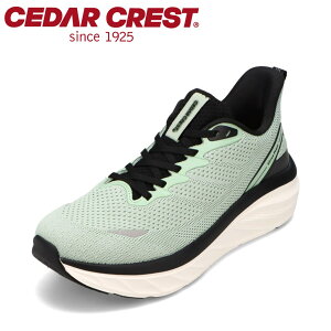 Z_[NXg CEDAR CREST CC-9900M YC C V[Y 3E Xj[J[ L  NbV Xgb` ˍ @\ [JbgXj[J[ X^CbV O[