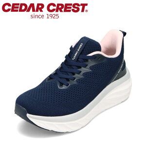 Z_[NXg CEDAR CREST CC-9900W fB[XC C V[Y 3E Xj[J[ L  NbV Xgb` ˍ @\ [JbgXj[J[ X^CbV lCr[×sN