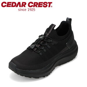 y15%OFFN[|zZ_[NXg CEDAR CREST CC-9800W fB[XC C V[Y 3E Xj[J[ EH[LOV[Y X|[c NbV [JbgXj[J[ Vv ubN