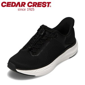 ySiP10{I420:00`28HzZ_[NXg CEDAR CREST CC-5001M YC C V[Y 2E XpbgV[Y g킸ɗ [JbgXj[J[ nYt[ ܂ܗ lC u