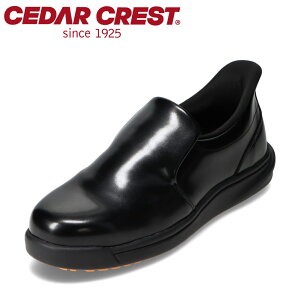 Z_[NXg CEDAR CREST CC-5002M YC C V[Y 2E Xj[J[ Xb| XpbgV[Yiyƃ^Cvj ϖ ~[C RbNV[Y c SC g킸ɗ [