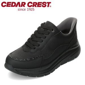 Z_[NXg CEDAR CREST CC-3503 fB[XC C XpbgV[YiXj[J[^CvjV[Y 3E Xj[J[ g킸ɗ L LL XpR[ [JbgXj[J[ lC 