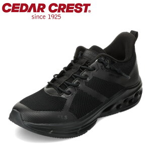 ySiP5{I6`9܂ŁzZ_[NXg CEDAR CREST CC-9950 YC C V[Y 3E Xj[J[ tBbgr[Y ₷ [JbgXj[J[ X^CbV ubN