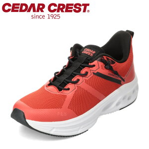 Z_[NXg CEDAR CREST CC-9950 YC C V[Y 3E Xj[J[ tBbgr[Y ₷ [JbgXj[J[ X^CbV bh