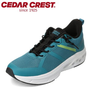 ySiP5{I6`9܂ŁzZ_[NXg CEDAR CREST CC-9950 YC C V[Y 3E Xj[J[ tBbgr[Y ₷ [JbgXj[J[ X^CbV O[