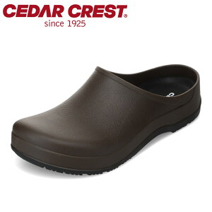 Z_[NXg CEDAR CREST CC-4100W fB[XC C V[Y 2E T{T_ [V[Y Xbp  Vv TXeBiu SDGs _[NuE